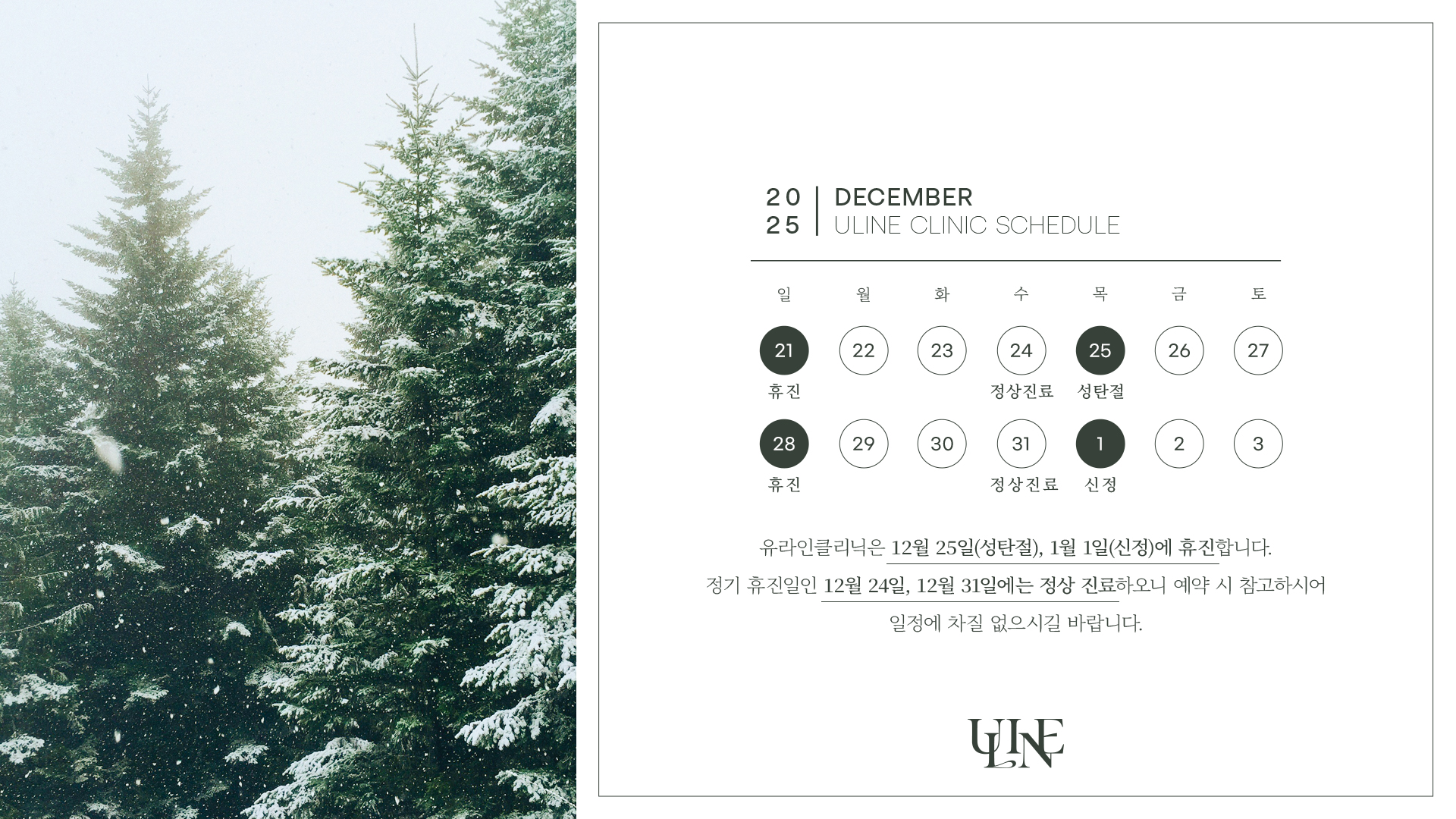 12월,1월 휴진안내